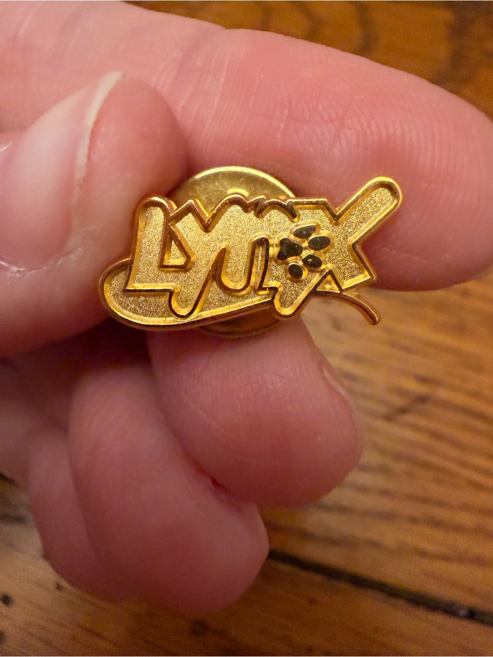 LYNX TRANSIT GOLD TONE LAPEL PIN FLORIDA